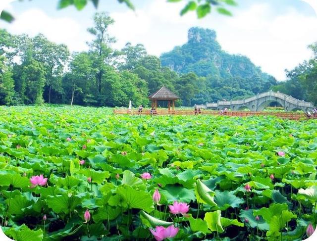 「感悟哲理美文」男人也很脆弱，女人要懂男人的这些弱点？