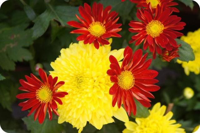 「感悟哲理美文」男人也很脆弱，女人要懂男人的这些弱点？