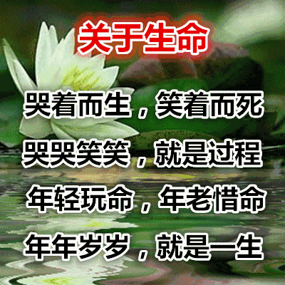 「糖果儿」这八句话，说得真好，一定要存在手机里