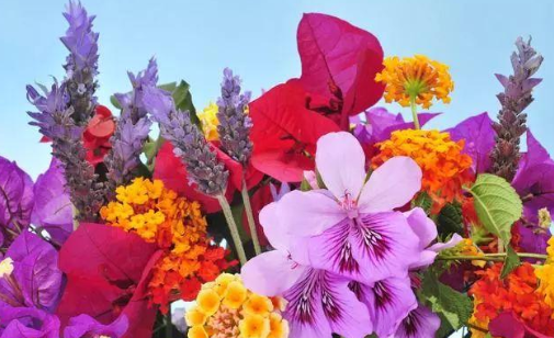 心理观察家@对待子女，有些话不能说，说的太重伤人心