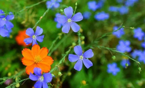 心理观察家@对待子女，有些话不能说，说的太重伤人心