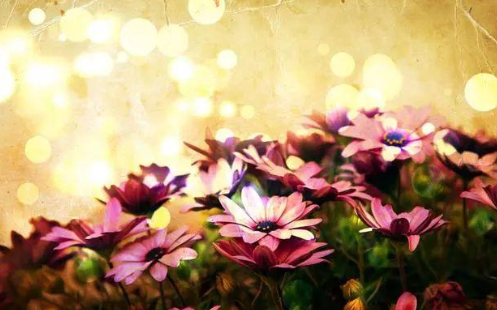 心理观察家@对待子女，有些话不能说，说的太重伤人心