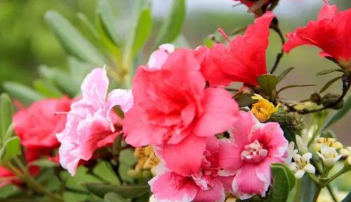 心理观察家@对待子女，有些话不能说，说的太重伤人心