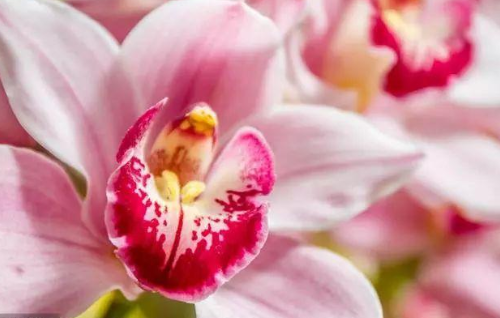 心理观察家@对待子女，有些话不能说，说的太重伤人心