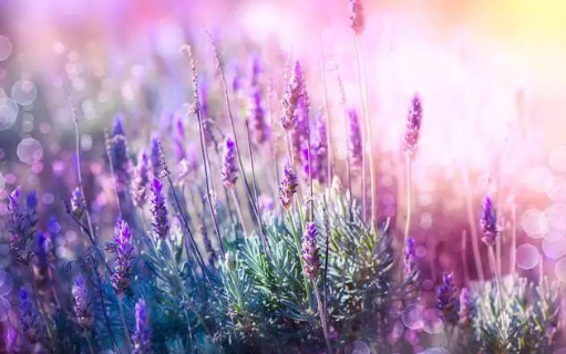 心理观察家@对待子女，有些话不能说，说的太重伤人心