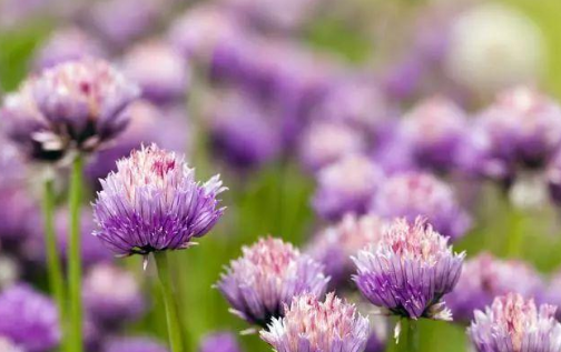 心理观察家@对待子女，有些话不能说，说的太重伤人心