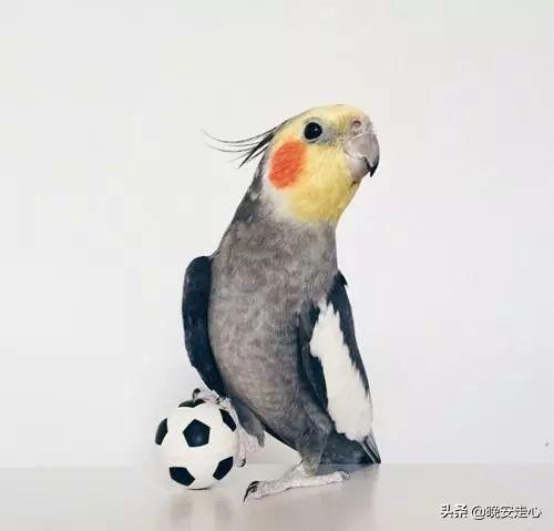 浅浅情感说■你等的人，也许早已忘记你