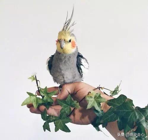 浅浅情感说■你等的人，也许早已忘记你