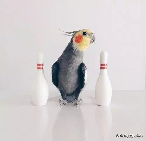 浅浅情感说■你等的人，也许早已忘记你