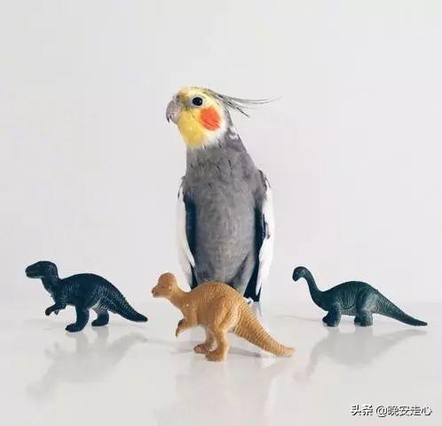 浅浅情感说■你等的人，也许早已忘记你