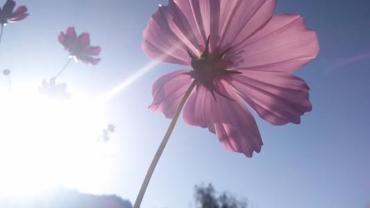 「知和律」“你是我哥，怎么可以对她比对我好？”