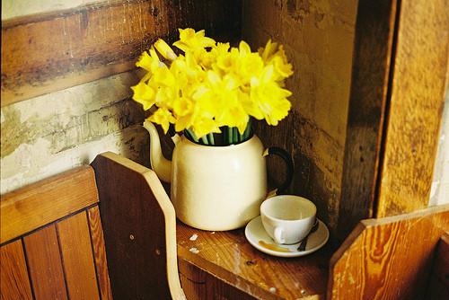 浅浅情感说@我们老得太快，却聪明得太迟....