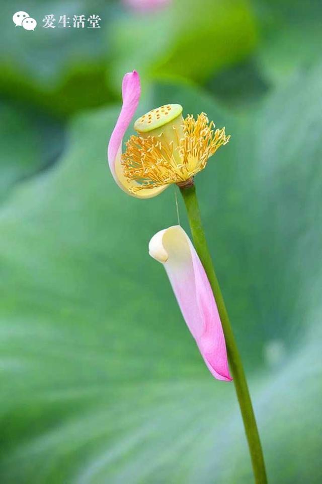 【美文鉴赏】别不信，穿多大码的鞋，注定你是什么样的人