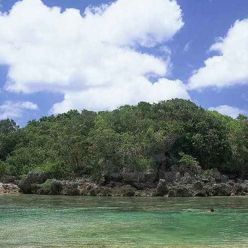 月刊勇者KuMa君vJ■恋爱后很痴情，对恋人百依百顺，真心真意的星座