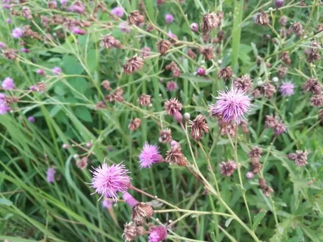 「东营微文化」那些相亲的糗事