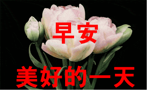 #搞笑励志资源点#早上好！早早的希望，早起的你，早早的祝福伴着你