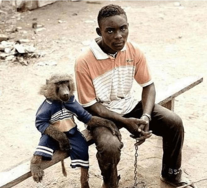 艾滋病源自非洲大猩猩, 首位被感染的人, 说了句话让全世界愤怒
