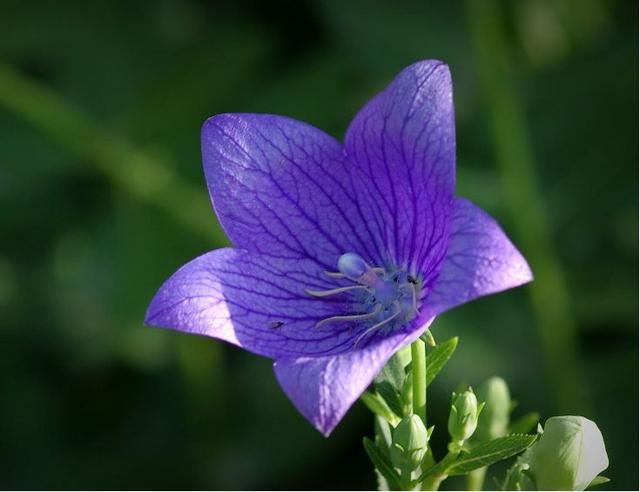 「小莉情感励志说」心烦的时候，最好的是沉默