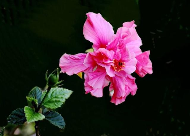 「小莉情感励志说」心烦的时候，最好的是沉默