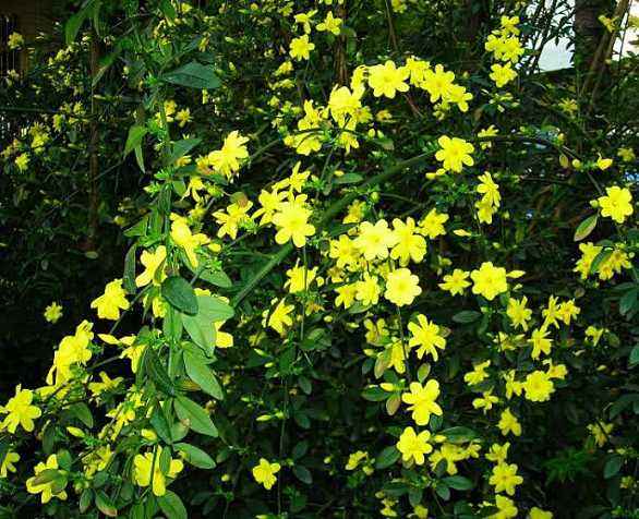 「强强联手在乐趣」亲情、友情甚至爱情，其实得到的并不是很多