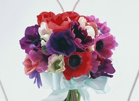 「遨游科技的海洋」很直男的三个生肖，不太会讲话，从来不说自己的错