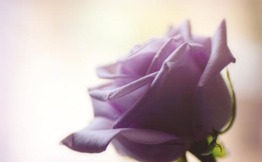 「谈笑风生浊酒一杯」深深爱过，一生难忘