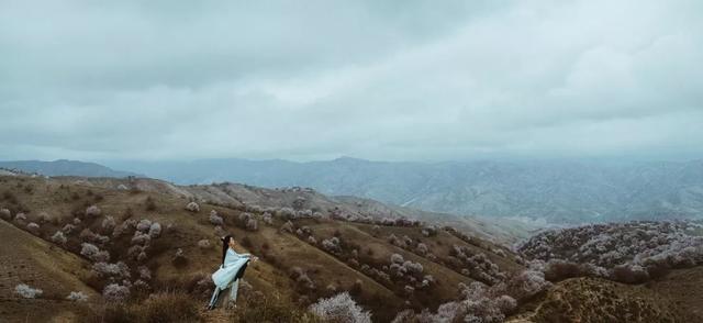 慈善快报@可以原谅，但不再信任