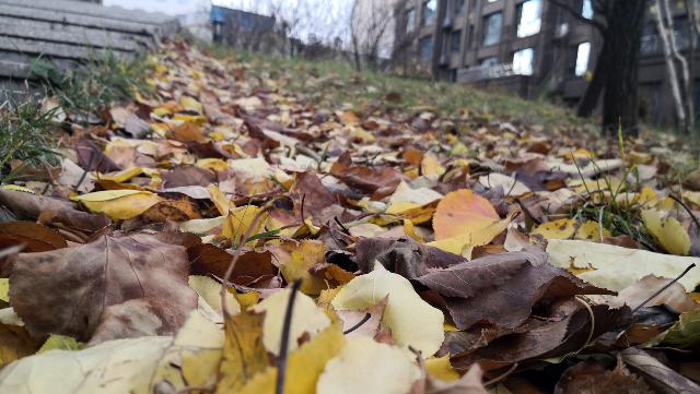 迈数表■即将入冬，这些保养做好了么？别等冻住就麻烦了