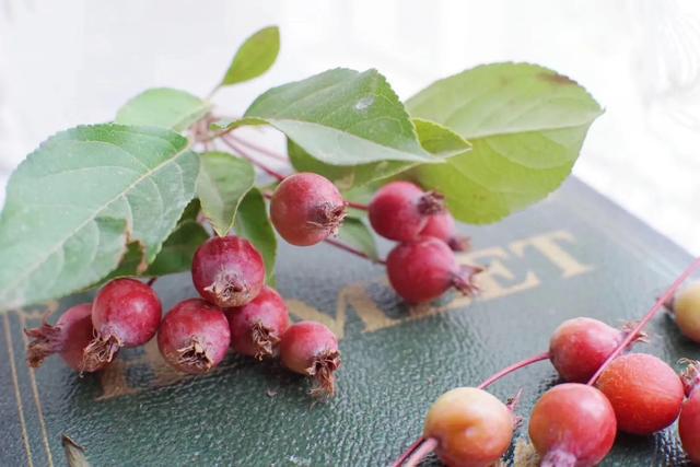 霍小栩■婚姻，一念天堂，一念地狱！