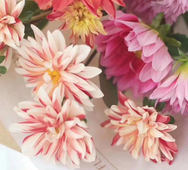 霍小栩■婚姻，一念天堂，一念地狱！