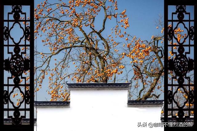 糖果儿：岁月不饶人，善忘是高人