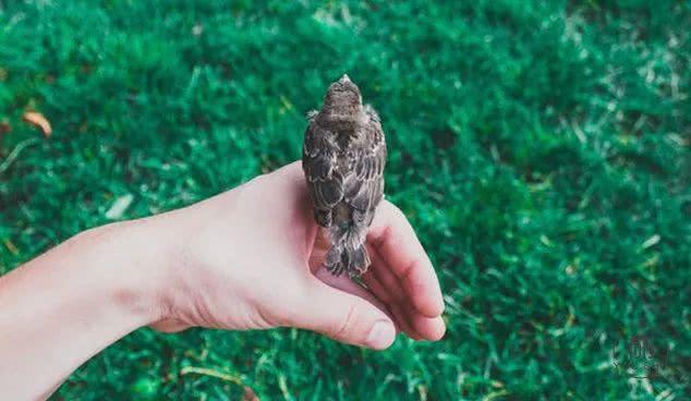 「有书」古训：气忌盛，心忌贪，才忌露，欲忌满