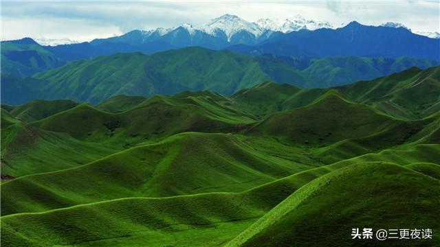 柠檬美文■人生，有多少计较，就有多少痛苦