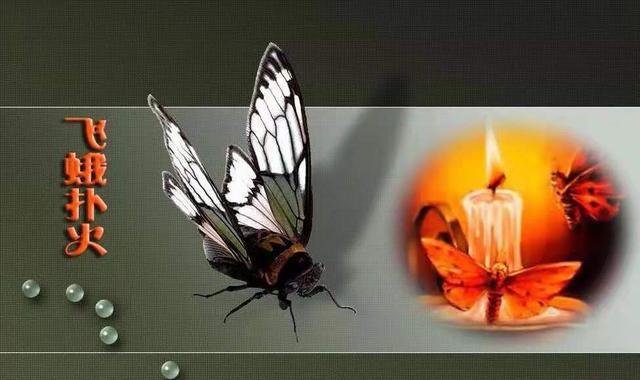 梦想之回头不晚■一位跑路老哥给妈妈的家书