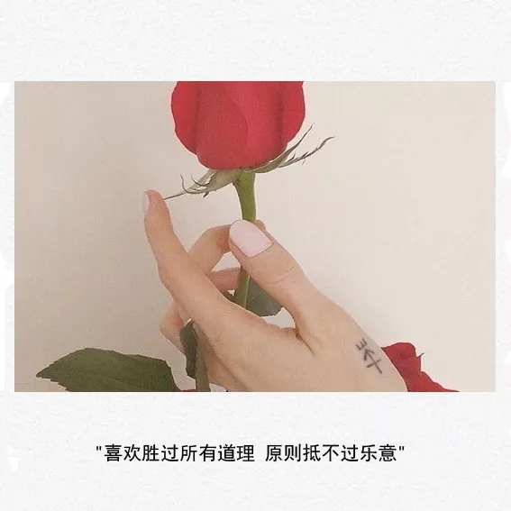 「悟空静」伤感语录图片：我曾喜欢你  笨拙而热烈  一无所有又倾尽所有