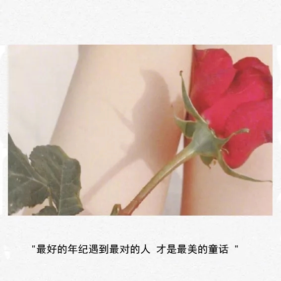 「悟空静」伤感语录图片：我曾喜欢你  笨拙而热烈  一无所有又倾尽所有