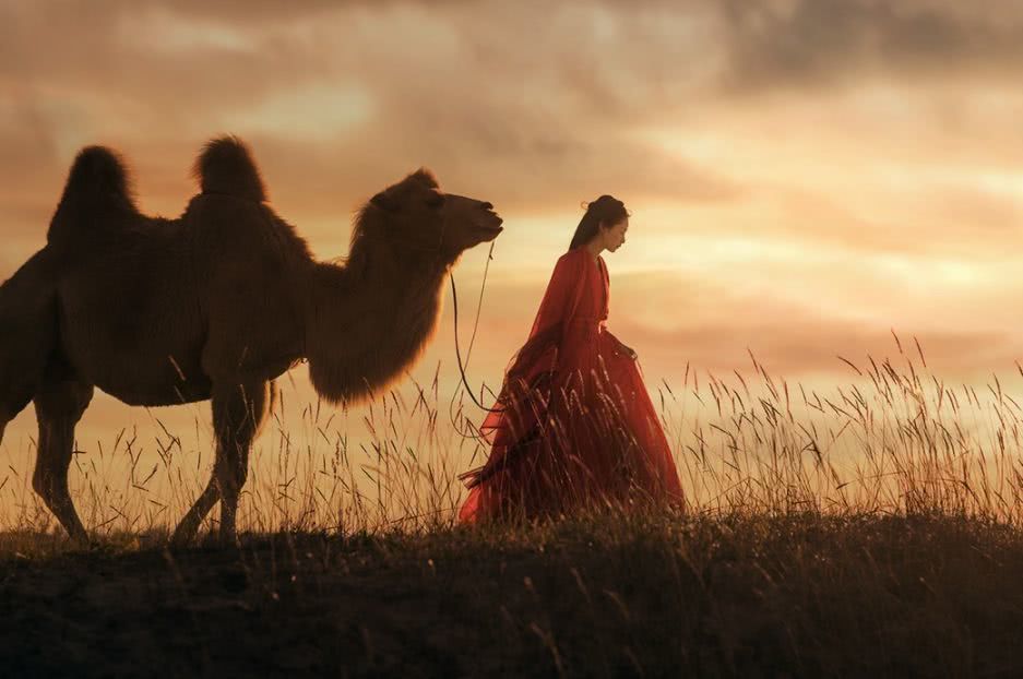 阿弥陀佛：佛说：世间一切，皆有因果