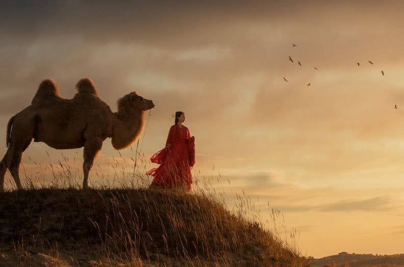 阿弥陀佛：佛说：世间一切，皆有因果