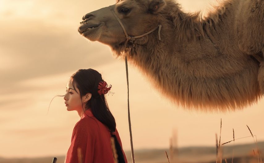 阿弥陀佛：佛说：世间一切，皆有因果