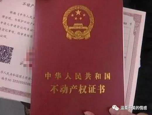 [温柔不美]母亲偏心弟弟，家产给弟弟，兄弟三年不来往，哥哥说番话弟弟哭了