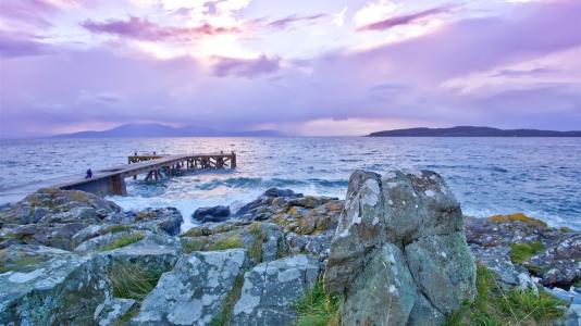 「美文分享」当你老了，一生最后悔什么？（全球统计前五项）