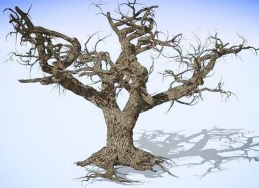 [朵朵心理课堂]心理测试：你认为哪棵大树的年龄最大？测出你内心的自尊心指数