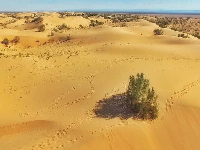 [朵朵心理课堂]心理测试：哪一片沙漠最让你感到压抑？测你的反差萌指数有多高