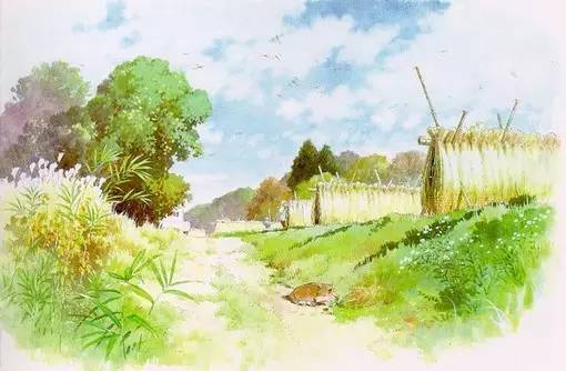 雨中伞@自己的难处，只有自己最懂 ！