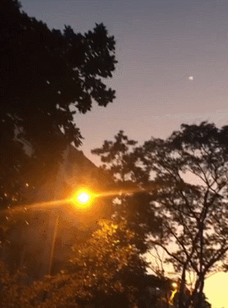 女子拍夕阳拍到不明飞行物！爸爸兴奋大喊：UFO！时隔9年，来了