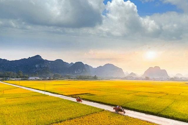 「拾柒读书」秋天为什么容易想家？这是我听过最好的答案