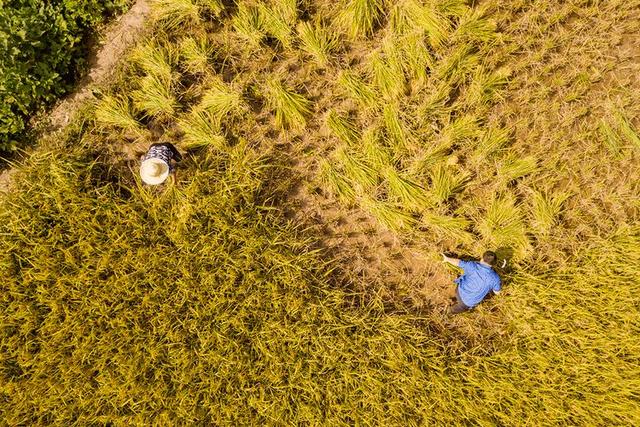 「拾柒读书」秋天为什么容易想家？这是我听过最好的答案