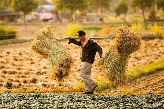 「拾柒读书」秋天为什么容易想家？这是我听过最好的答案