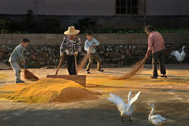 「拾柒读书」秋天为什么容易想家？这是我听过最好的答案