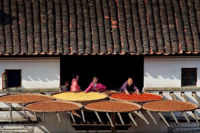 「拾柒读书」秋天为什么容易想家？这是我听过最好的答案